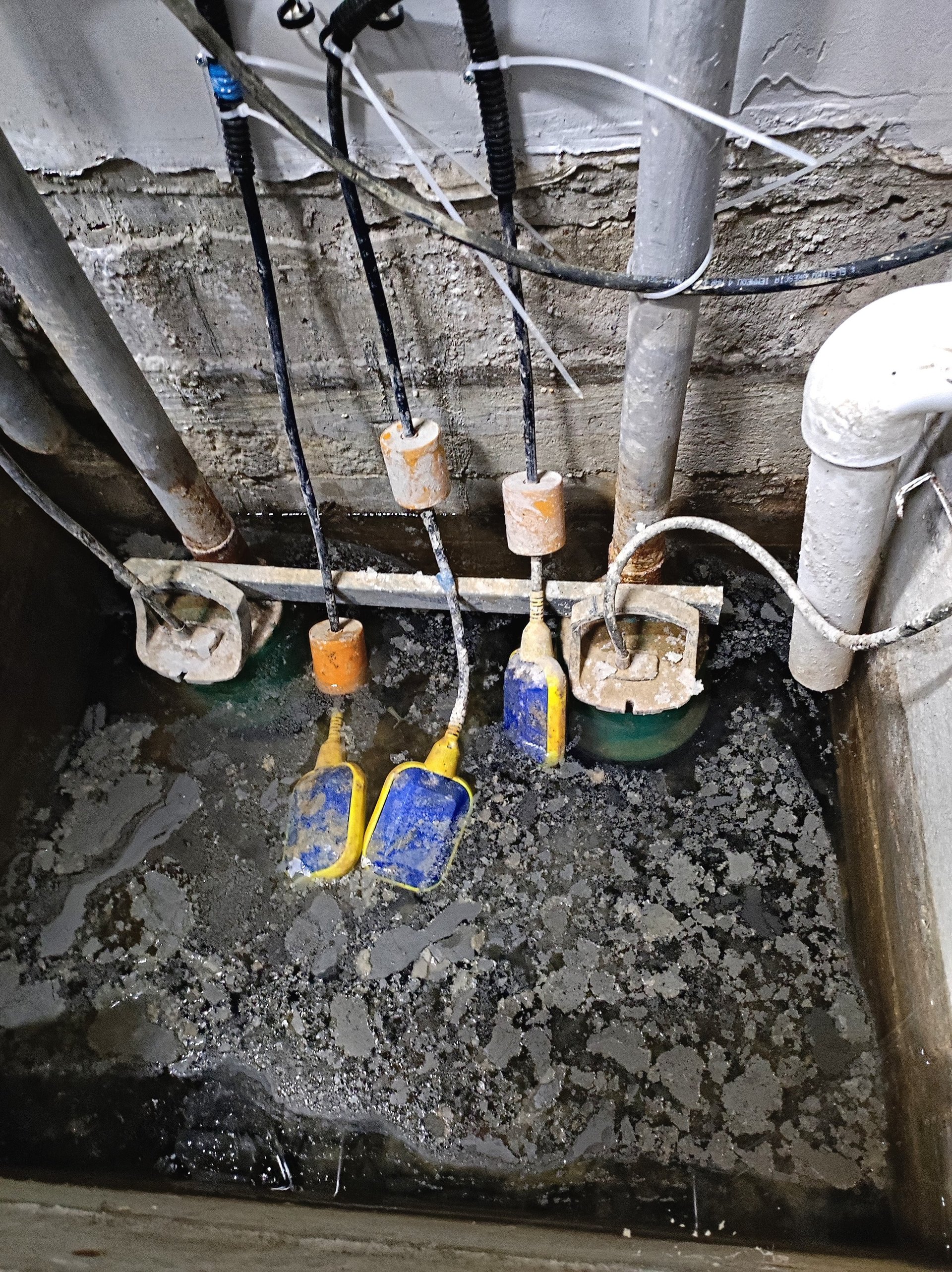 Sewer backup restoration service