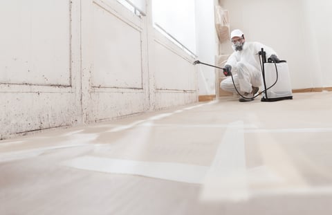 Mold remediation